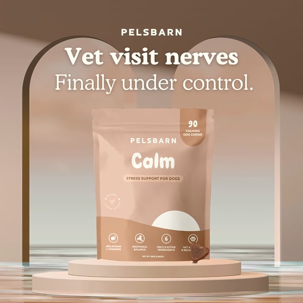 This static square ad features a calming dog chew bag centered on a staged platform with a clear pain-point headline targeting pet owner anxieties during vet visits.